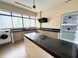 Nadia Mansions (D12), Apartment #575427341